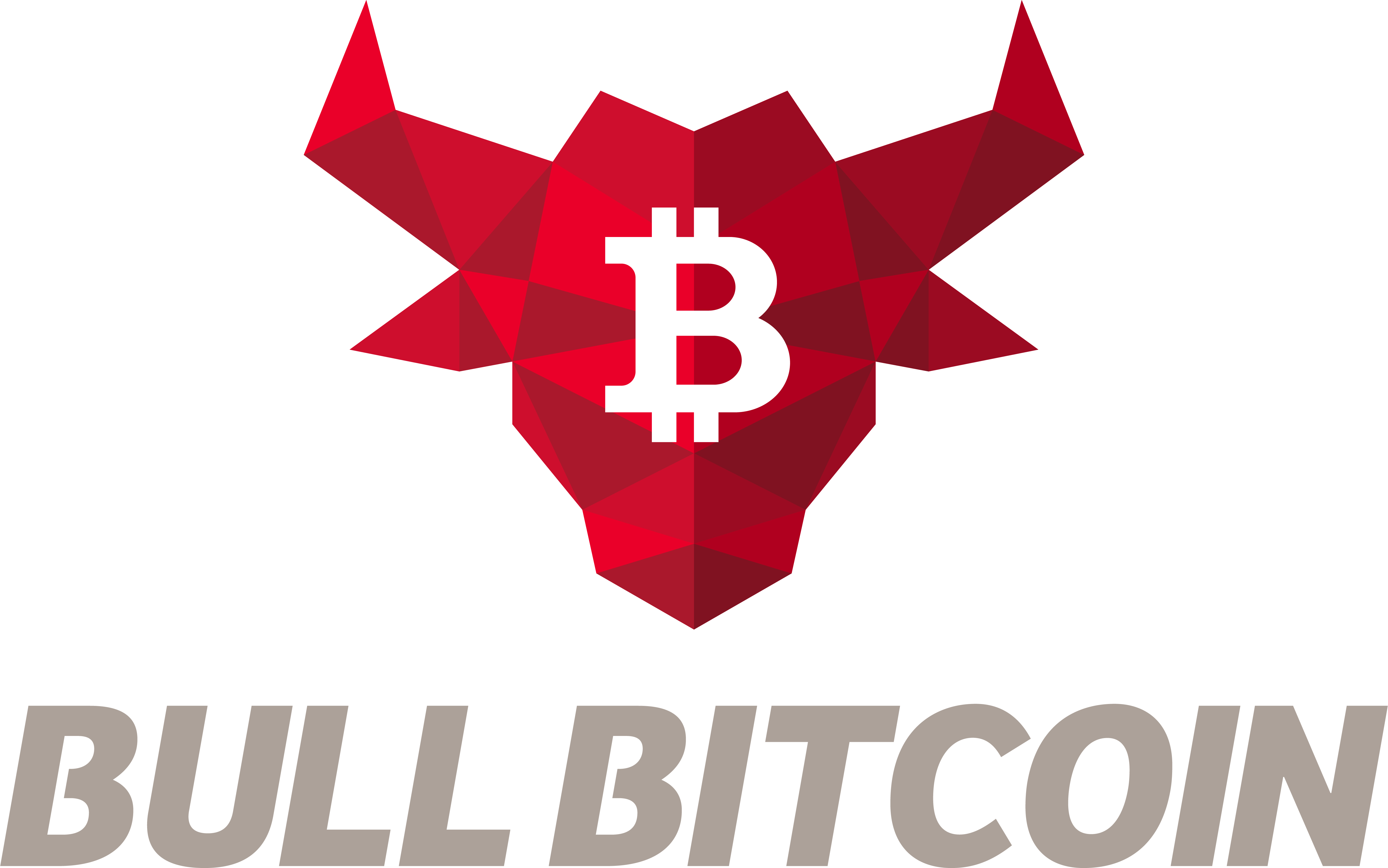 Bull Bitcoin - 